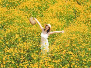 Read more about the article Beautiful places to visit in Texas
