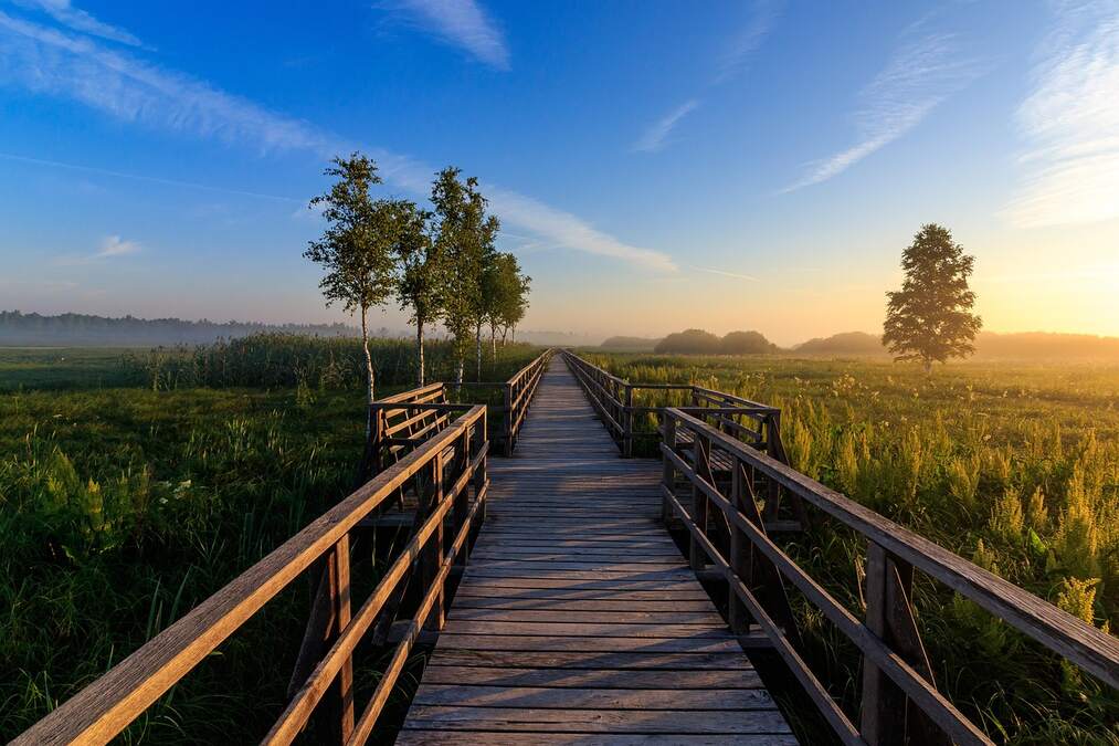 Pantanal – Wildlife Paradise.