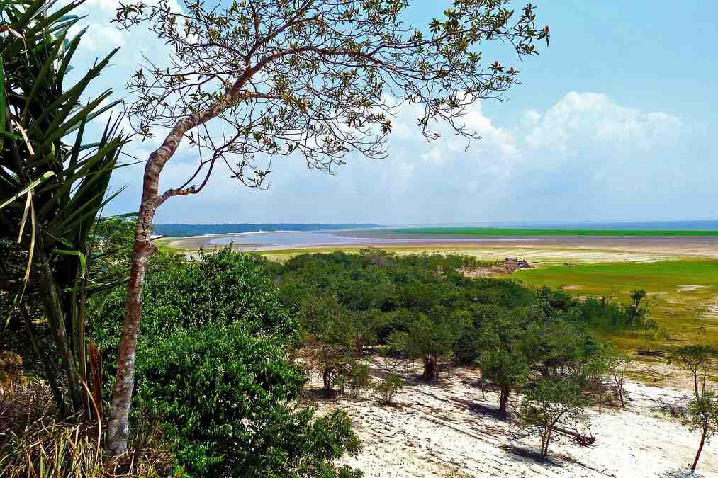 The greatest wonder of nature- the Amazon Rainforest