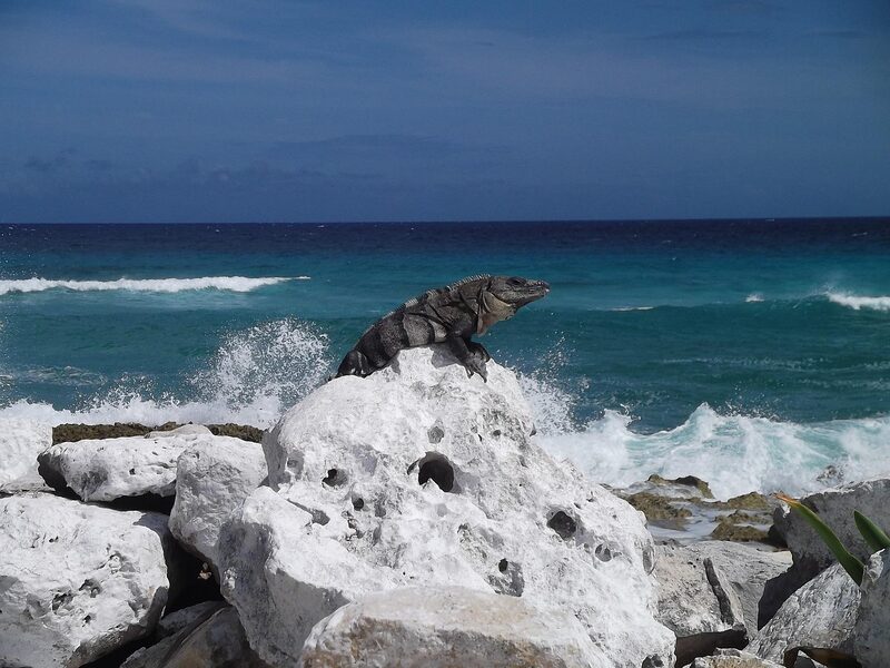 Cozumel