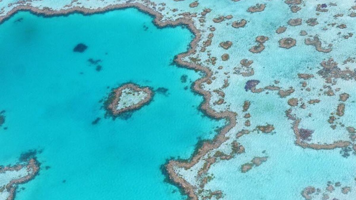 Great Blue Hole and Belize Barrier Reef