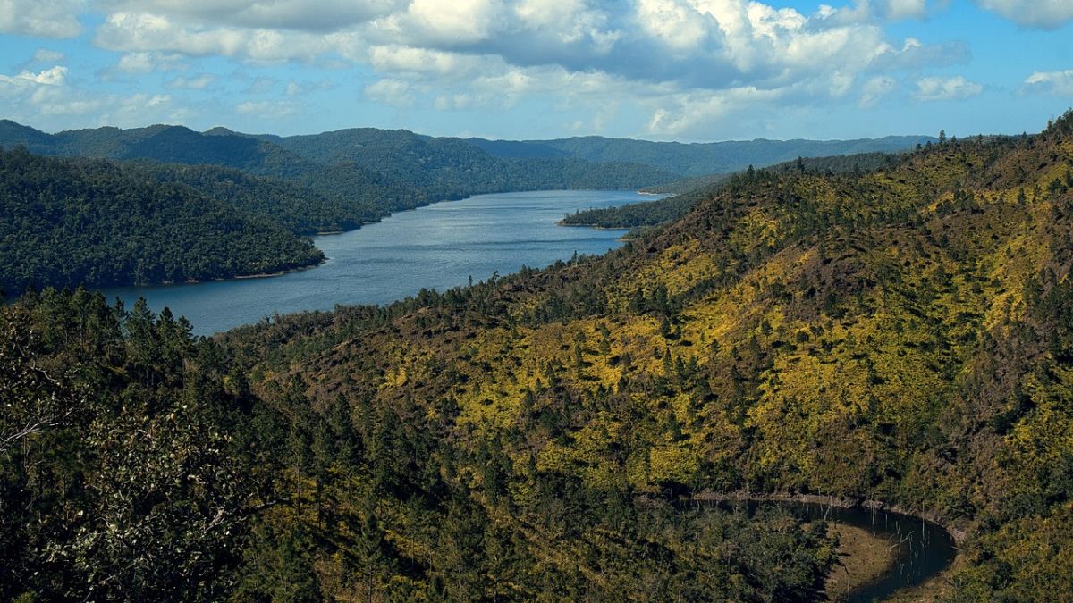 Mountain Pine Ridge Forest Reserve